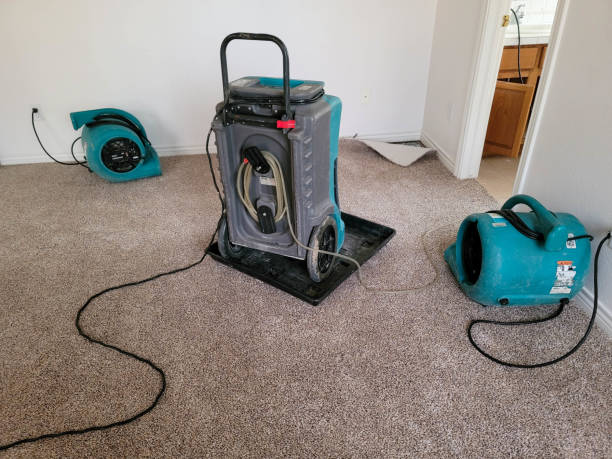 Best Ceiling water damage repair  in Spring Grove, PA