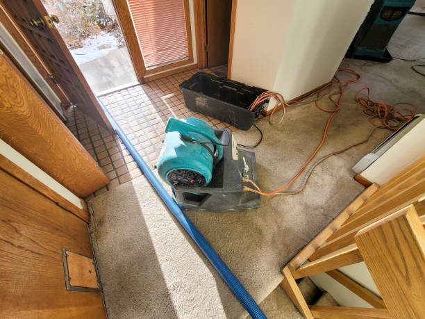 Best Flood restoration services  in Spring Grove, PA