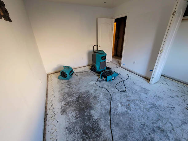 Best Professional water damage repair  in Spring Grove, PA