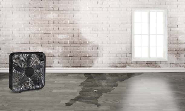 Best Flood damage cleanup  in Spring Grove, PA