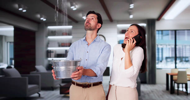 Best Local water damage restoration  in Spring Grove, PA